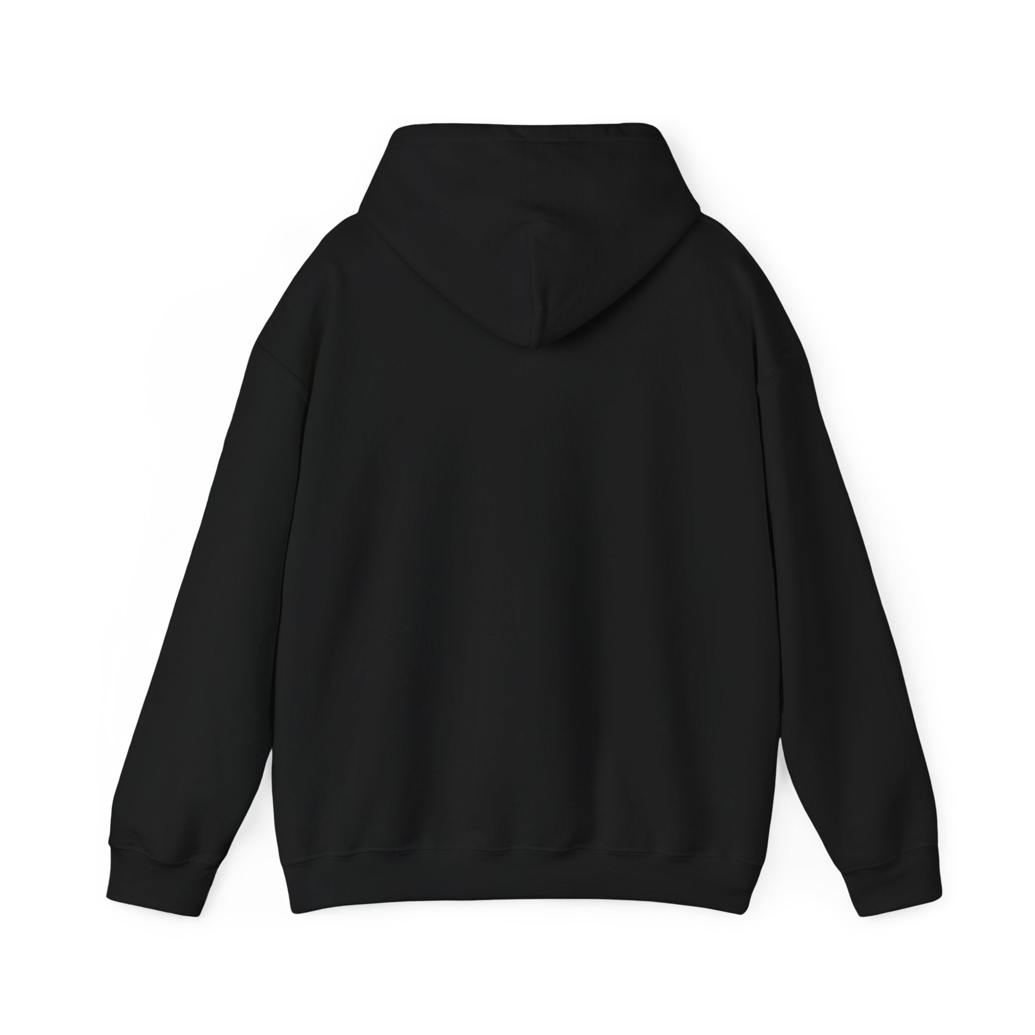 Marylanders Retro Bubble Letter Graphic Hooded Sweatshirt